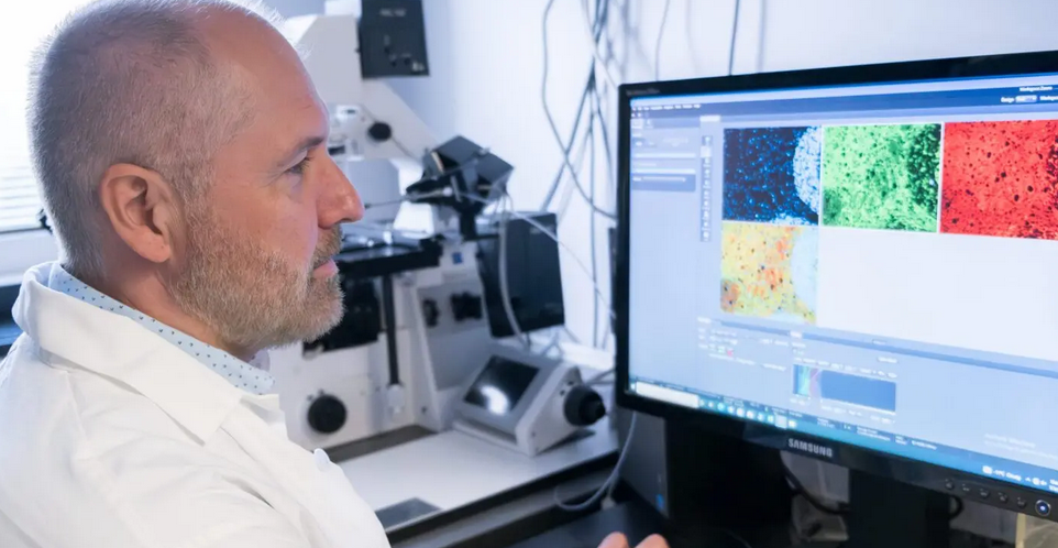 Developping gene therapy for ARSACS