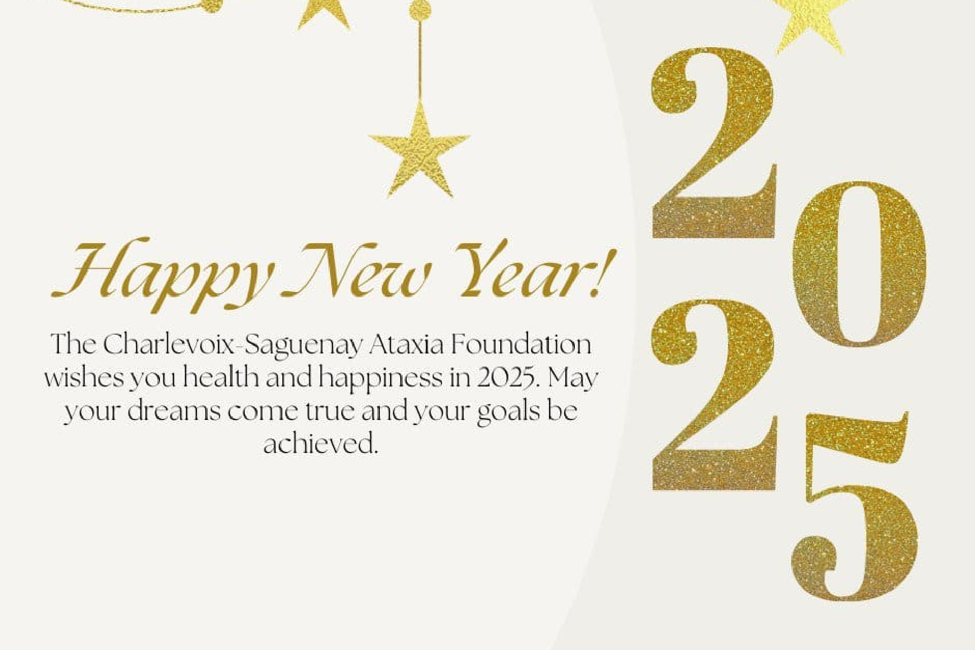 Happy New Year 2025!