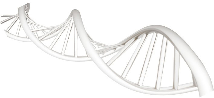 Review on Recessive Ataxias